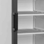 TEFCOLD - Congélateur vertical de vitrine canopée lumineux statique 1 porte 270 L