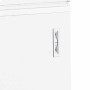 TEFCOLD - Congélateur de crème glacée blanc couvercle battant inox 185 L