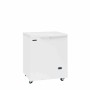 TEFCOLD - Congélateur médical blanc 152 L