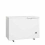 TEFCOLD - Congélateur médical blanc 323 L