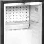 TEFCOLD - Réfrigérateur minibar à porte vitrée 24 L