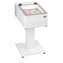 TEFCOLD - Vitrine de crème glacée 2x bacs Napoli 20 L