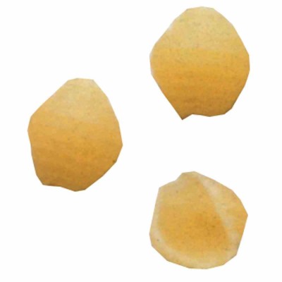 DIAMOND - Matrice bronze conchiglie