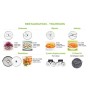 ROBOT-COUPE - Pack 6 disques Expert restauration - traiteur