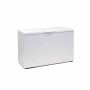 TEFCOLD - Réfrigérateur coffre blanc couvercle battant 349 L