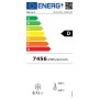 TEFCOLD - Vitrine ventilée pour glace en bac vitrage bombé 118 L