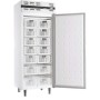 AFI - Armoire froide négative GN 2/1 459 L 1 porte pleine blanche