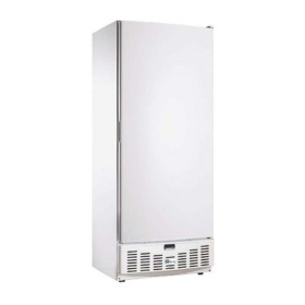 AFI - Armoire réfrigérée négative 1 porte pleine 520 L laquée blanche