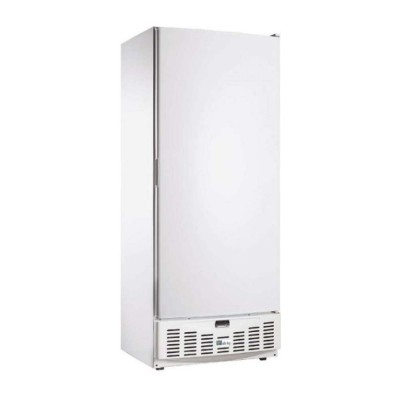 AFI - Armoire réfrigérée négative 1 porte pleine 520 L laquée blanche