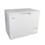ELCOLD - Coffre abattant 105 cm 323 L plein