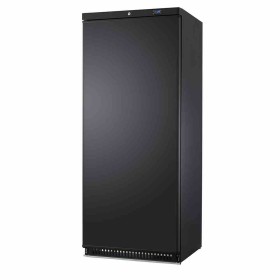 L2G - Armoire refrigerée négative noire 6 clayettes fermeture a clé statique 534 L
