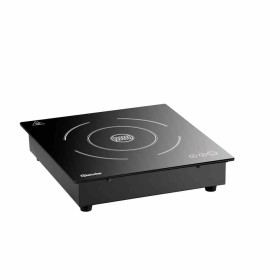 BARTSCHER - Plaque à induction 201TC 1 zone de cuisson