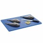 BARTSCHER - Planche à découper 600 x 400 bleue