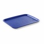 L2G - Plateau bleu polypropylène L. 450 mm P. 350 mm
