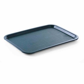 L2G - Plateau vert polypropylène L. 450 mm P. 350 mm