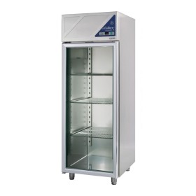 DALMEC - Armoire réfrigérée négative -18/-22°C - 1 porte vitrée - 700 L - Avec groupe logé