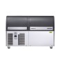 SCOTSMAN - Machine à glaçons gourmet 145 kg pompe de relevage