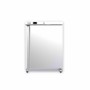 SOFRACOLD - Armoire réfrigérée négative - Finition inox - Porte pleine - 200 L