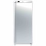 SOFRACOLD - Armoire réfrigérée négative - Finition inox - Porte pleine - 600 L - GN 2/1 