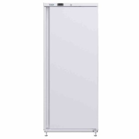SOFRACOLD - Armoire réfrigérée positive - Finition blanche - Porte pleine - 600 L - GN 2/1