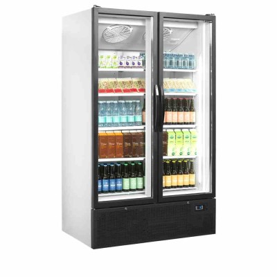 TEFCOLD - Réfrigérateur vitré 2 portes à portes battantes 652 L