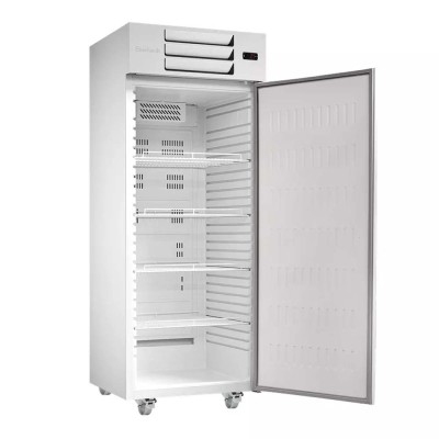 EBERHARDT - Armoire positive blanche GN 2/1 cuve PS 544 L groupe en haut