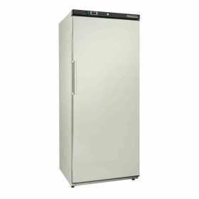 CPC - Armoire de congélation inox ventilée 600 L - intérieur ABS