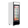TEFCOLD - Congélateur vertical vitrine 1 porte 496 L