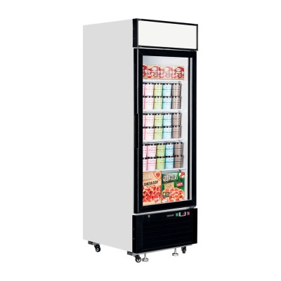 TEFCOLD - Congélateur vertical vitrine 1 porte 496 L