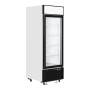 TEFCOLD - Congélateur vertical vitrine 1 porte 496 L
