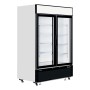 TEFCOLD - Congélateur vertical vitrine 2 portes 1108 L