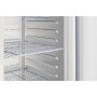 POLAR - Armoire froide négative 600L