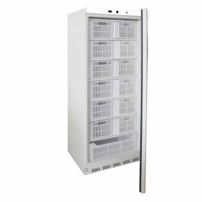 Armoire froide négative professionnelle - CAG-AW-RN600 - L2G