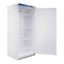Armoire froide positive GN 2/1 600 L blanche AE601P - SOFRACA
