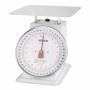 VOGUE - Balance à plateau portée 20 kg précision d'affichage 50 g