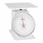 WEIGHSTATION - Balance à plateau Vogue 20kg