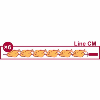 DIAMOND - Rôtissoire électrique vitrocéramique, 8 broches (48 poulets)