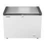 LIEBHERR - Congélateur coffre statique inox 266 L