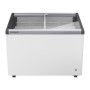 LIEBHERR - Conservateur à glaces, couvercles vitrés inclinés, 276L