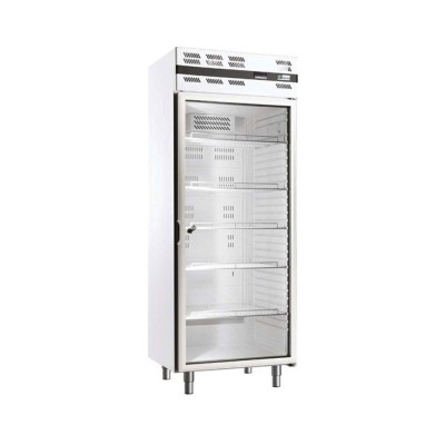 AFI - Armoire froide positive ventilée GN 2/1 476 L 1 porte vitrée blanche