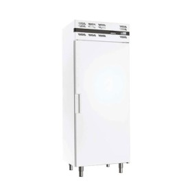 AFI - Armoire froide négative GN 2/1 459 L 1 porte pleine blanche