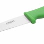 HYGIPLAS - Couteau à légumes vert 100 mm