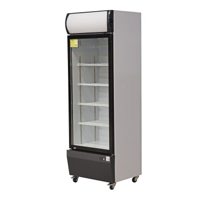 L2G - Armoire à boissons 1 porte vitrée 460 L