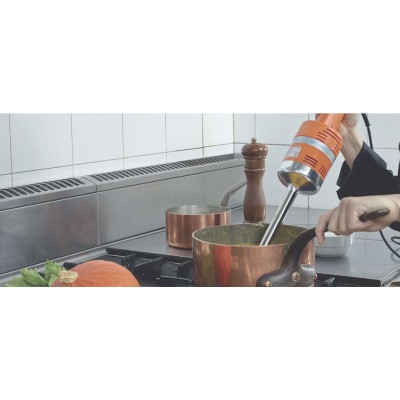 DYNAMIC - Mixeur plongeant JUNIOR MX 225