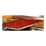 MORETTI FORNI - Four à pizza à sole Série S 2 chambres (Fastbake / Multibake)