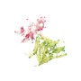 ROBOT-COUPE - Disque Expert julienne 2 x 2 mm