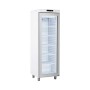 G+ GRAM PROFESSIONAL - Armoire froide positive porte vitrée blanche 359 L