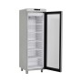 G+ GRAM PROFESSIONAL - Armoire froide positive porte vitrée inox 359 L