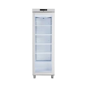 G+ GRAM PROFESSIONAL - Armoire froide positive porte vitrée inox 359 L