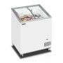 TEFCOLD - Congélateur de crème glacée 157 L couvercles incurvés